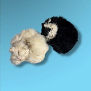 Realistic pair of faux kittens/cat figures